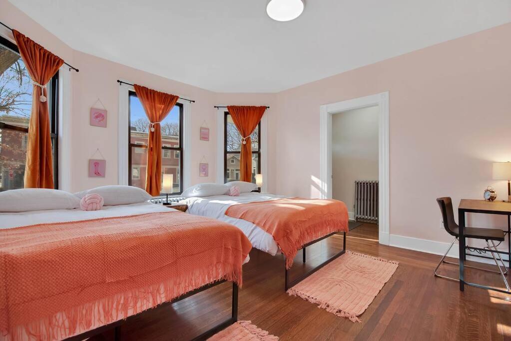 Appartement Peachy Paradise In East Rock Near Dt/yale *